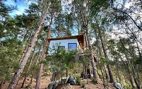 Casita Colgada 
